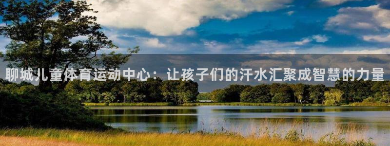 球宴体育app官方下载：聊城儿童体育运动中心：让孩子们的汗水汇聚成智慧的力量