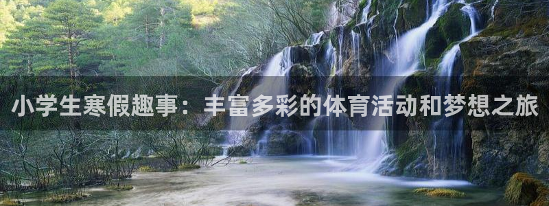 球宴体育app官方下载：小学生寒假趣事：丰富多彩的体育活动和梦想之旅