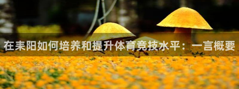 球宴体育网页：在耒阳如何培养和提升体育竞技水平：一言概要