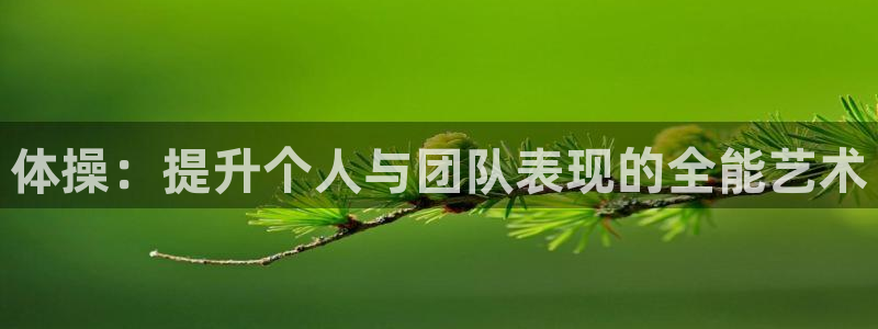 球宴体育网页：体操：提升个人与团队表现的全能艺术