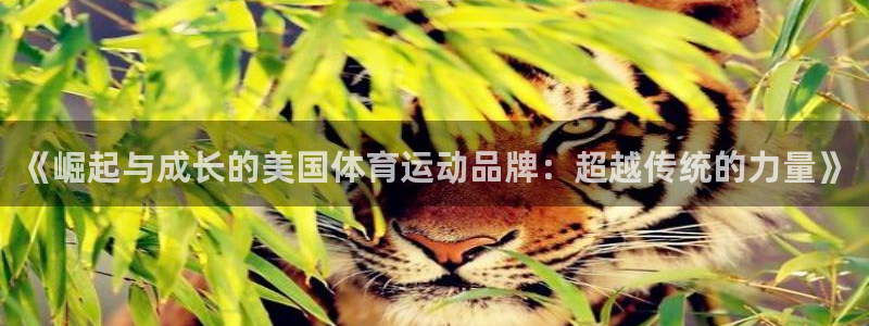 球宴体育APP下载：《崛起与成长的美国体育运动品牌：超越传统的力量》